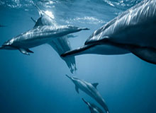 旺财28平台-郭田雨回归U21国青闪电进球：和教练有种不谋而合